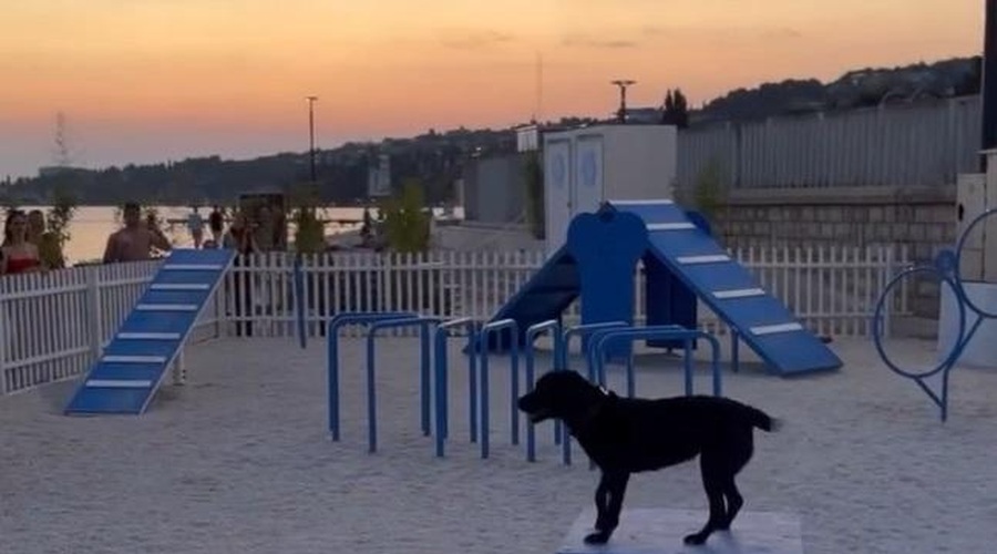 Pasji lastniki pozor: v Portorožu zaživela moderna pasja plaža (VIDEO) (foto: Občina Piran / Facebook / posnetek zaslona)