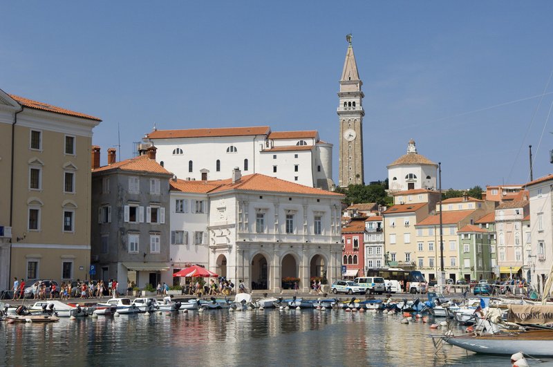 živali pes Piran pobiranje iztrebkov