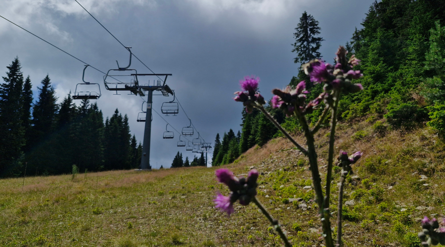 Sloveniji se bliža vremenska motnja: Arso za državo izdal rumeno opozorilo (foto: R. K.)