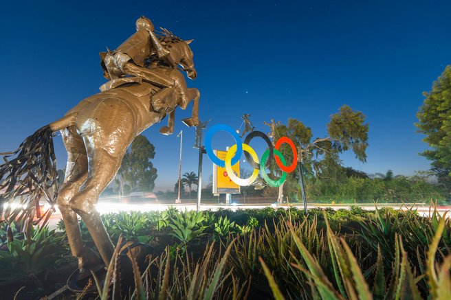 živali konji konjeništvo olimpijske igre