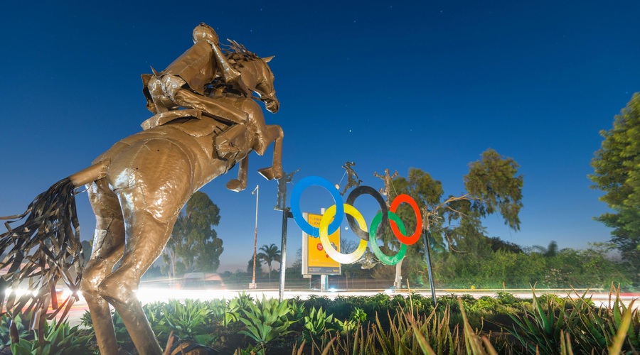 Incident še pred začetkom olimpijskih iger razburil živalovarstvene organizacije (foto: Profimedia)