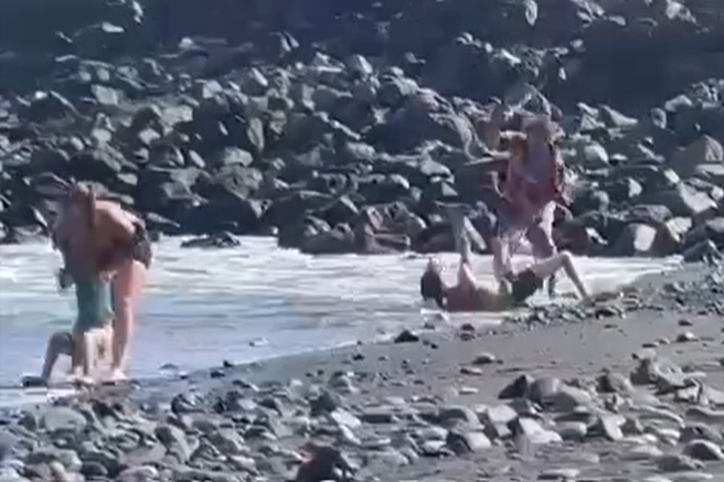 VIDEO: Drama na priljubljeni plaži, starši bežali z otroki, ki so jokali od šoka