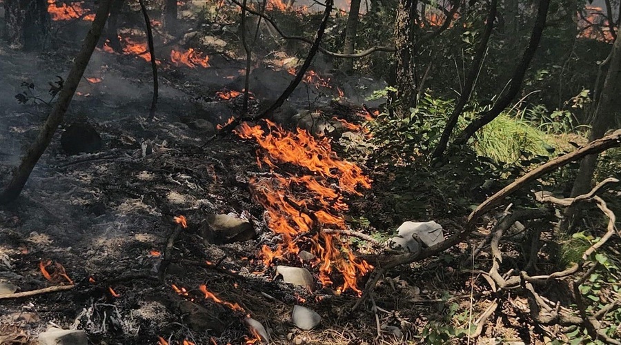 Na Krasu ponovno izbruhnil požar, na kraj prihiteli gasilci (foto: Facebook/Gregor Klemenc - Dobrovoljček)