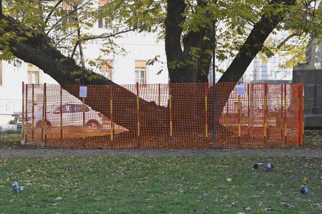 Ljubljanski park končno spet odprt, vendar občina opozarja ...