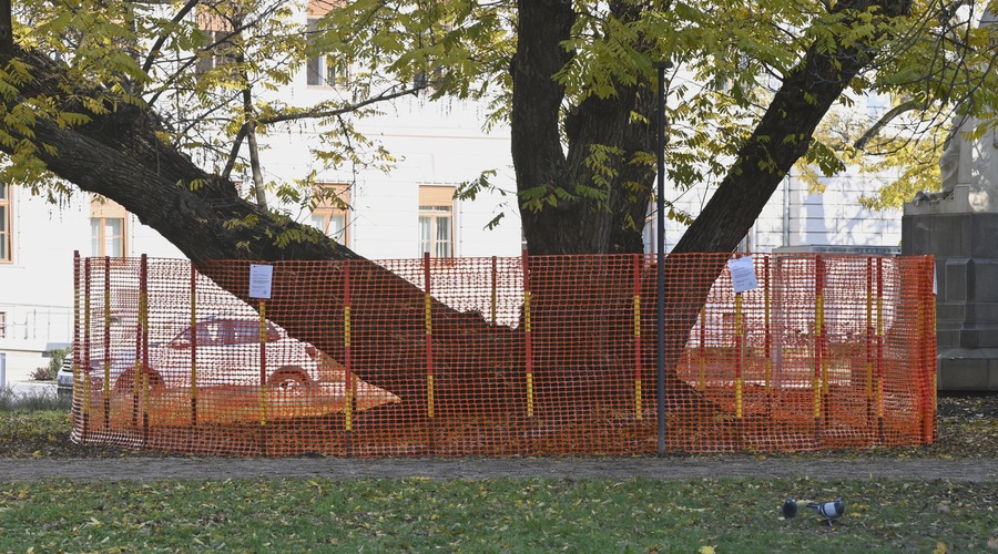 Ljubljanski park končno spet odprt, vendar občina opozarja ... (foto: Žiga Živulović jr. /BOBO)