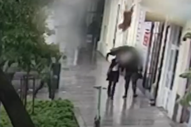 Bizarna nezgoda: prestrašen pes nenadoma skočil skozi okno in pristal na …