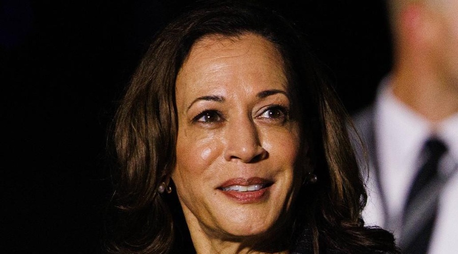 Uspelo ji je: Kamala Harris zbrala dovolj glasov za predsedniško kandidaturo (foto: Profimedia)