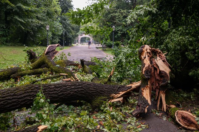 Nevihte prizadele državo: odkrite strehe, poplave, podrta drevesa ... kje je bilo najhuje?