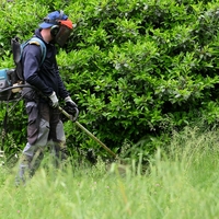 Uslužbenec med običajno košnjo trave naletel na dragocenost, ki je vse pustila odprtih ust