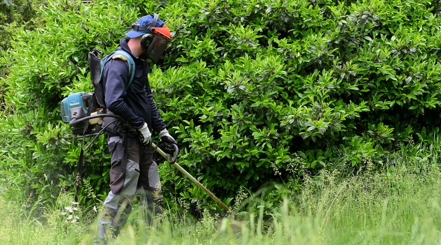 Opozorilo za lastnike zemljišč: preveč bujna vegetacija ob cestah vas lahko drago stane! (foto: Bobo/Žiga Živulović)