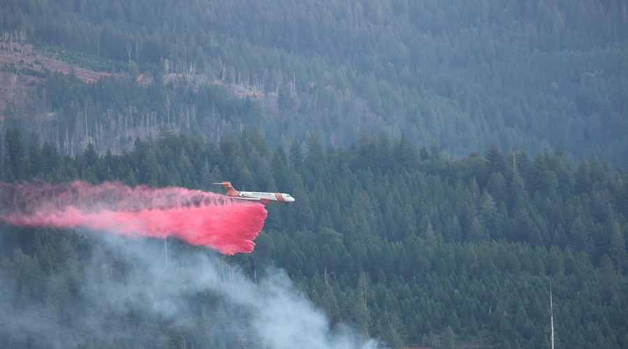 Naravna katastrofa: v Kaliforniji divja četrti najhujši gozdni požar v zgodovini zvezne države (foto: Profimedia)