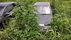 Mercedesa odpeljala na servis: ko po 3 letih še vedno ni bilo glasu od mehanika, je ...
