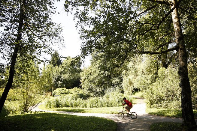 Ste vedeli, da lahko v ljubljanskem botaničnem vrtu vidite redko posebnost?