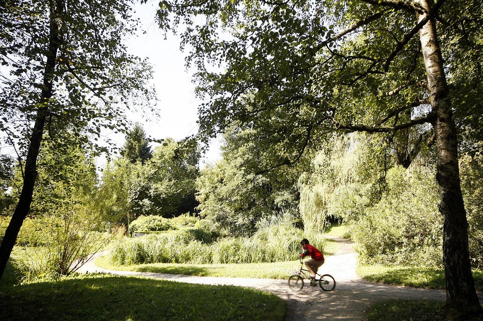 Ste vedeli, da lahko v ljubljanskem botaničnem vrtu vidite redko posebnost? (foto: Bor Slana/Bobo)