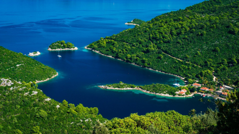 Mljet Jadransko morje strupena riba