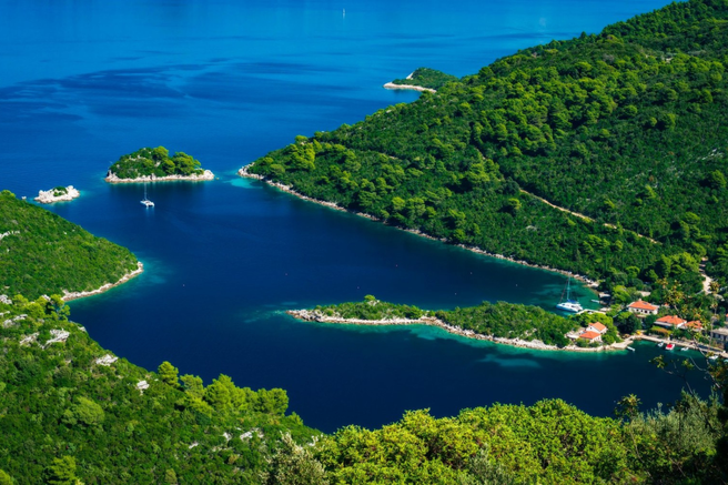 Mljet Jadransko morje strupena riba