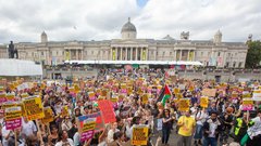 protest