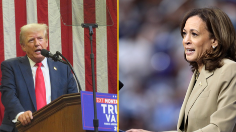 trump, harris