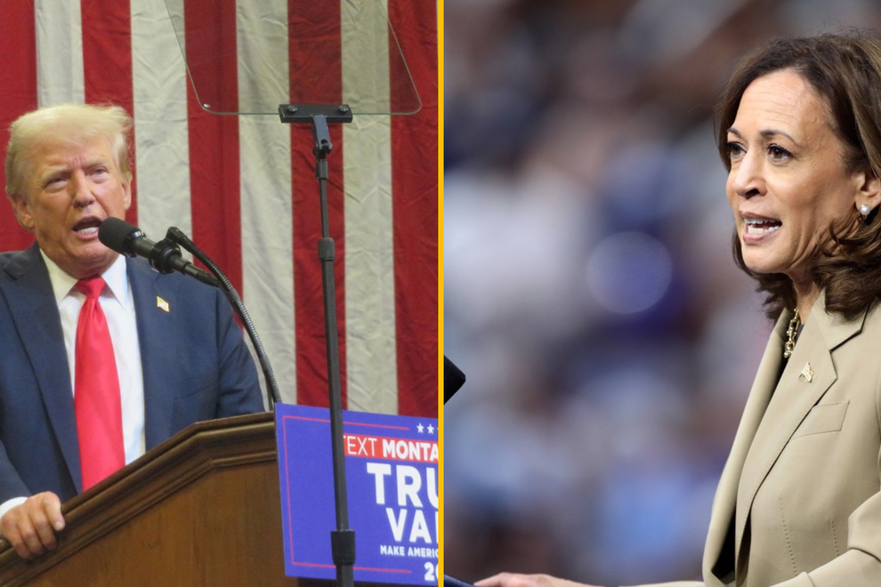 trump, harris