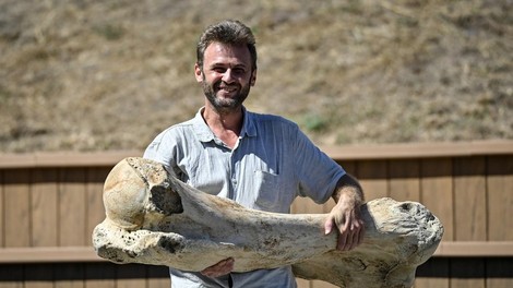 odkritje kosti mamut Dneper