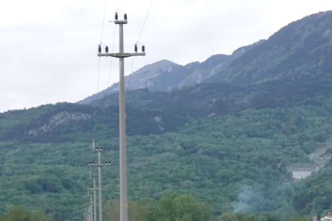 živali sova uharica DOPPS pogin daljnovodi