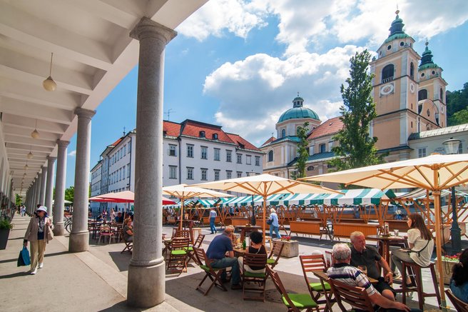 živali osel Ljubljana jahanje mučenje