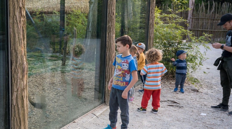Novi mladički v ZOO Ljubljana (poglejte, kako so prikupni) (foto: Profimedia)