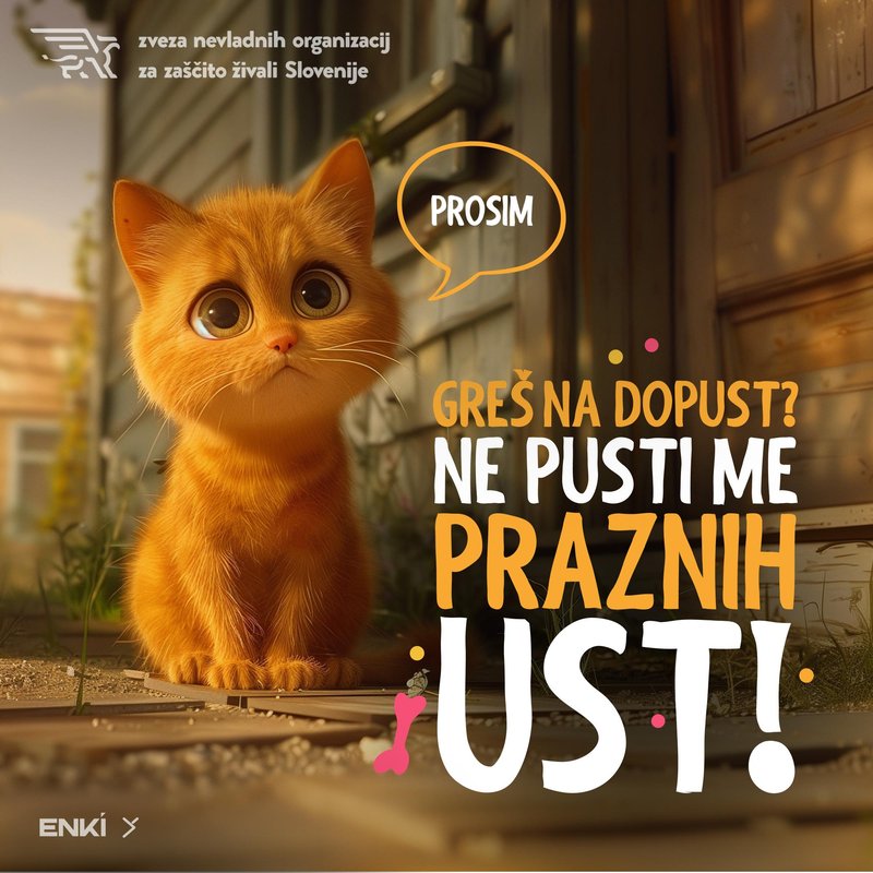 Nevladne organizacije opozarjajo na neprimerno vedenje lastnikov med dopustom.