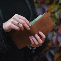 feng šuj denarnica denar finance obilje bogastvo nasveti