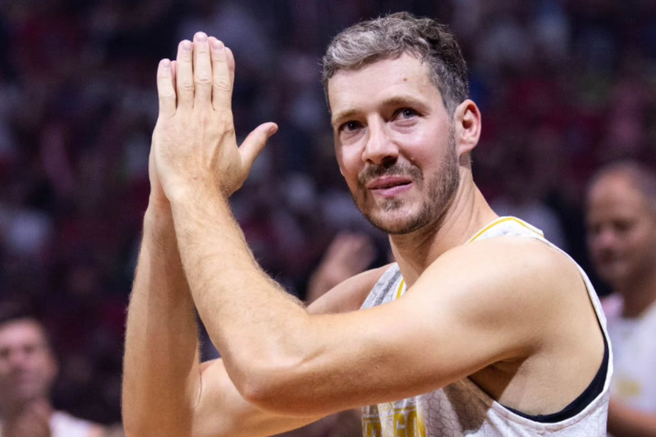 goran dragić