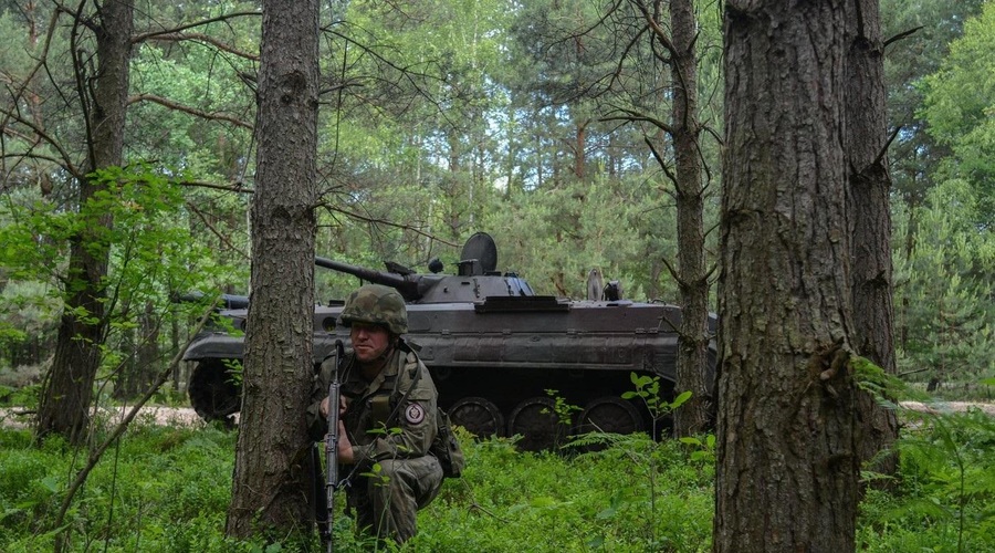 Poljski vojak (Fotografija je simbolična). (foto: Profimedia)