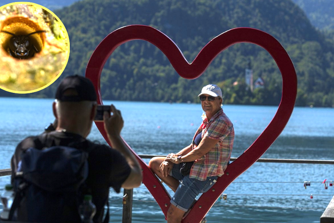 Bled turist osa