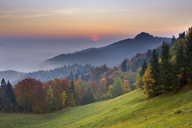 vreme, napoved