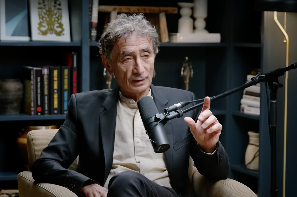 Dr. Gabor Mate je jasen: to je najslabša stvar, ki jo lahko storite pri otroku (foto: Jay Shetty Podcast Posnetek zaslona Youtube)