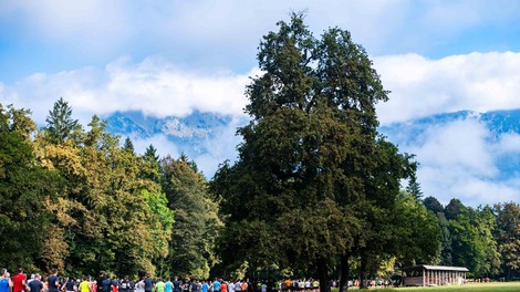 12. triglav tek, šport, tekači, brdo pri kranju