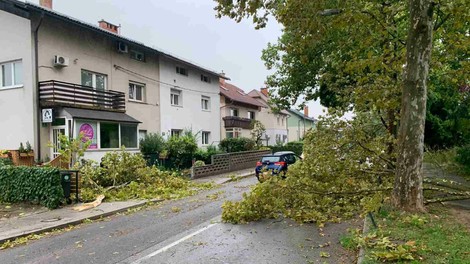 vreme dež neurje poplave nevihta podrto drevo