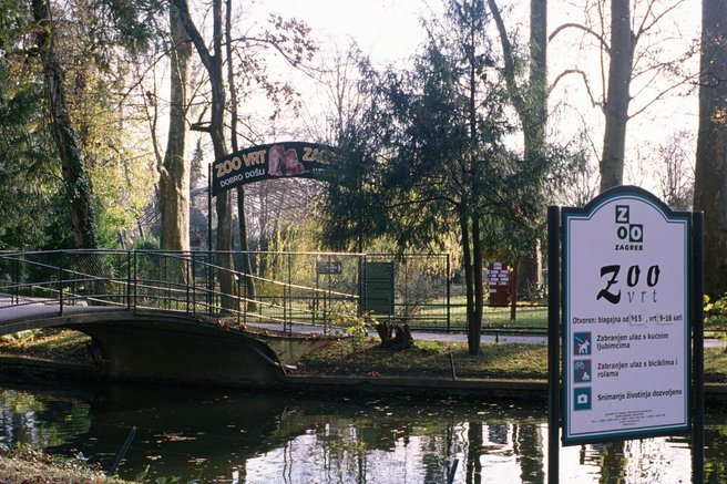 živali Zagreb živalski vrt lev evtanazija