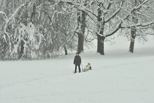zima sneg otrok starš veselje igra sani