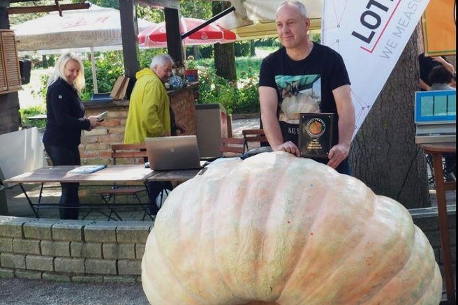 buca tekmovanje zmagovalka