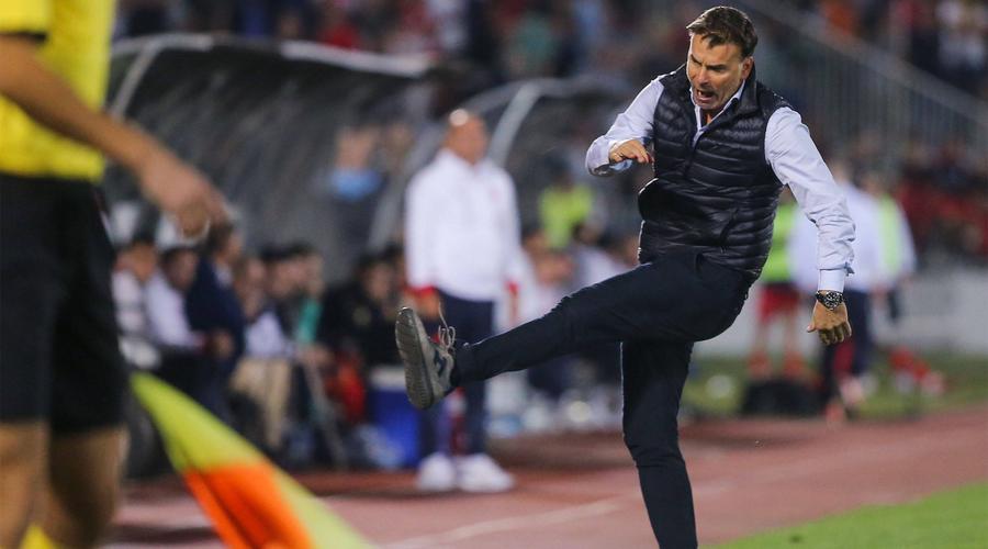 Jezna reakcija trenerja Stanojevića med srečanjem. (foto: Profimedia)