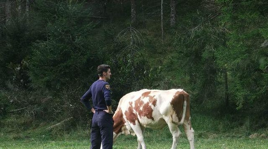 Slovenska policija delila simpatično fotografijo (kaj mislite, da se dogaja na njej?) (foto: Facebook/Slovenska policija)