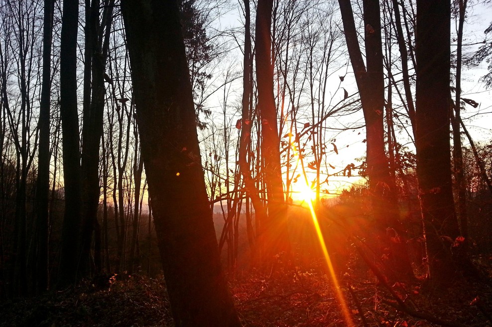 Ponedeljkovo jutro nas je pospremilo s sončnimi žarki, v torek pa nas čaka ... (foto: BOBO/SRDJAN ZIVULOVIC)