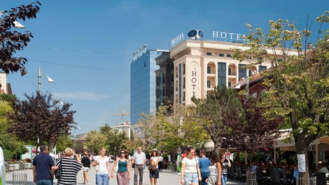 živali Priština pes ulični pes brezdomni psi