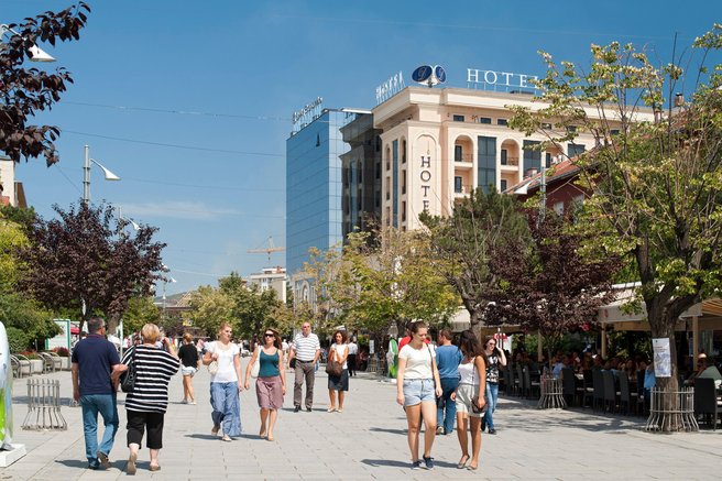 živali Priština pes ulični pes brezdomni psi