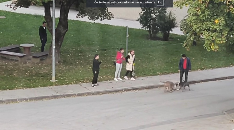 Kamera v Velenju posnela grozljiv napad na ulici, ljudje pa kar stojijo in gledajo (pozor, šokanten posnetek) (foto: Facebook/Naše Velenje/posnetek zaslona)