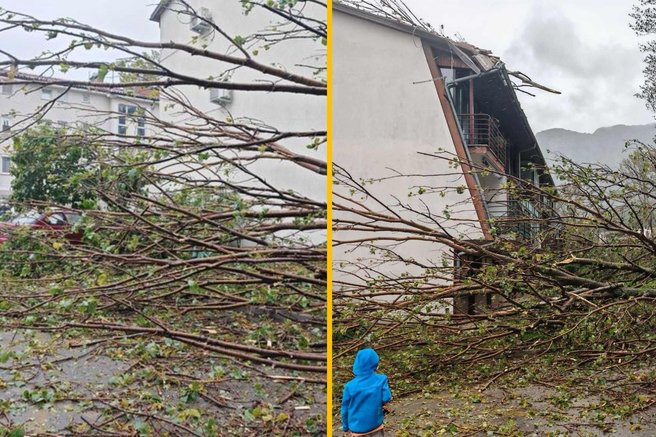 vreme Ajdovščina veter burja drevo