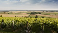 Ta sproščujoči oddih nedaleč stran bo razvajal vaše brbončice (ko boste poskusili pralineje z jurko, bo sladokusec v vas zavriskal!)
