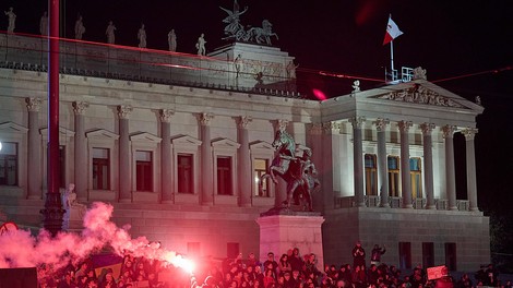 vienna, dunaj, protest