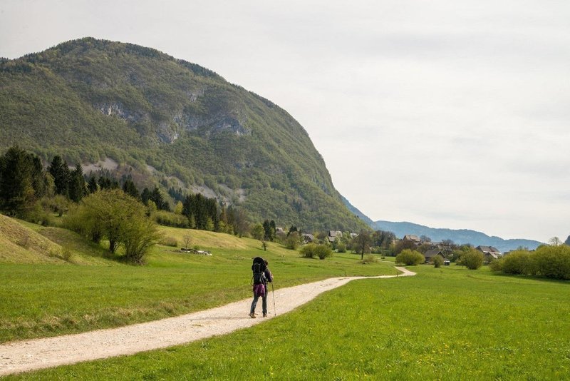 Kritik po obisku Slovenije skoraj ni bilo, le eno samo veliko navdušenje nad vsemi vidiki naše države.