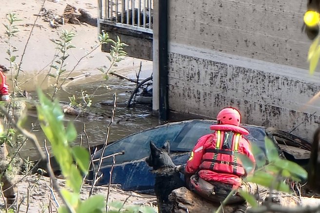 živali pes reševanje poplave Jablanica